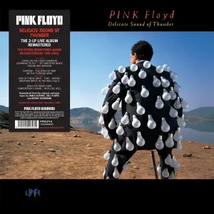 Pink Floyd - Delicate Sound of Thunder – Vinilinės plokštelės
