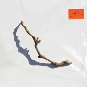 PJ Harvey - I Inside The Old Year Dying – Vinilinės plokštelės