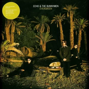 Echo & The Bunnymen - Evergreen – Vinilinės plokštelės