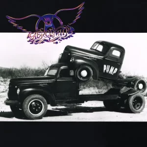 Aerosmith - Pump – Vinilinės plokštelės