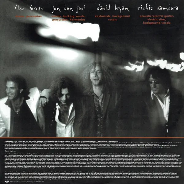 Bon Jovi - These Days – Vinilinės plokštelės