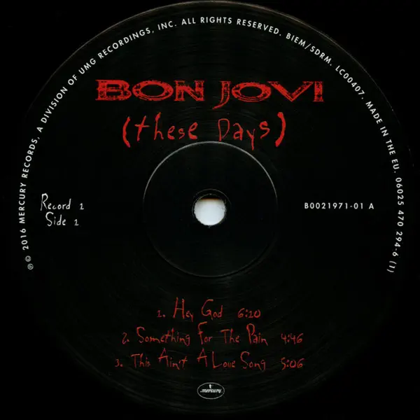 Bon Jovi - These Days – Vinilinės plokštelės