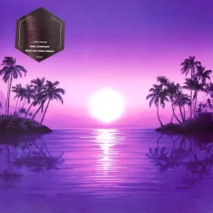 Purple Disco Machine - Paradise
