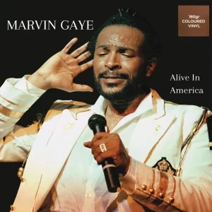 Marvin Gaye - Alive In America