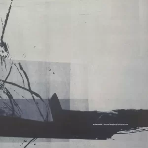 Underworld - Second Toughest In The Infants