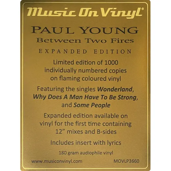 Paul Young - Between Two Fires