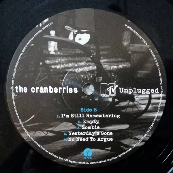 The Cranberries - MTV Unplugged