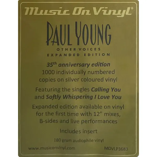 Paul Young - Other Voices