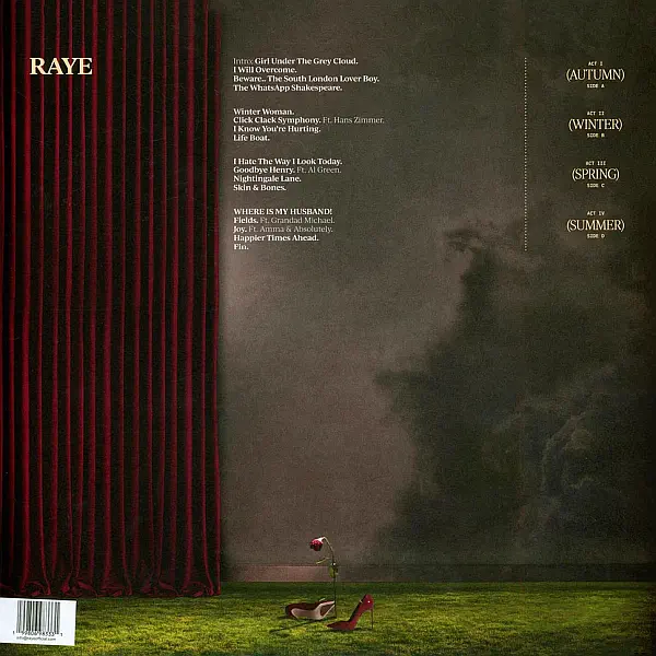 Raye - This Music May Contain Hope