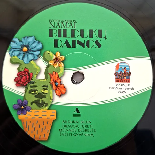VA - Bildukų dainos