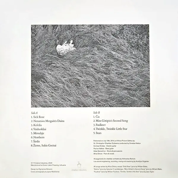 Alina Orlova - Live At Vilnius Picture Galery