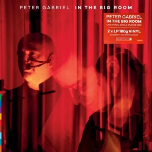 Peter Gabriel - In The Big Room