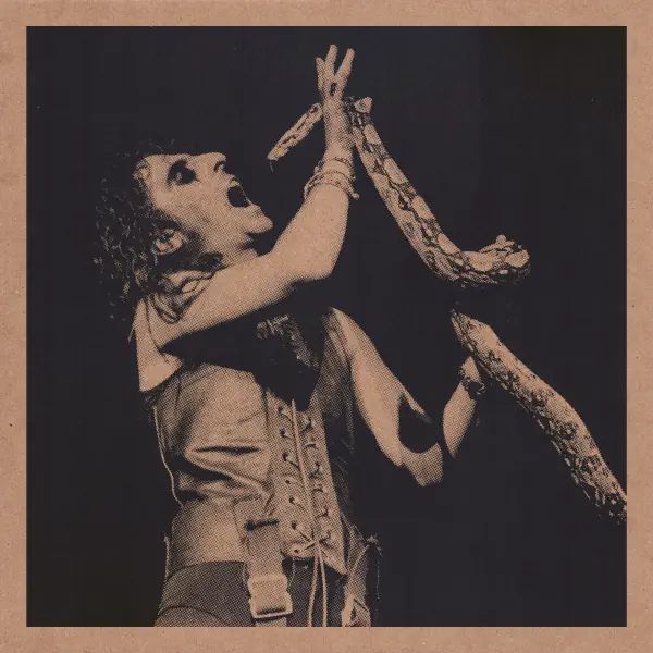 Alice Cooper Killer
